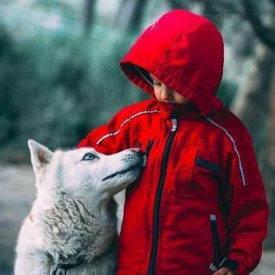 Hayomide89's profile picture. Crypto Trader and Web3 Explorer