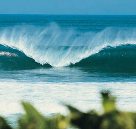 LevelGroundAZ's profile picture. 