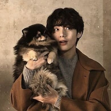 kermit and bts fan • 25 • she/her • 🐹🐨 • eng/fr • please read my carrd before you follow!!