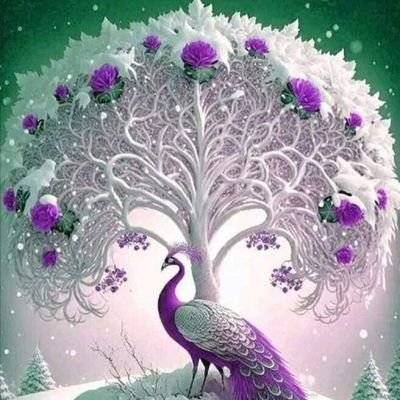 BugtiZulaikha's profile picture. 