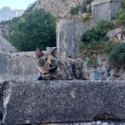 rombambar's profile picture. Знаю смішні лінгвістичні жарти