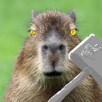 Perrin Capybara 🇲🇦🇵🇸(@Caboose03459813) 's Twitter Profile Photo