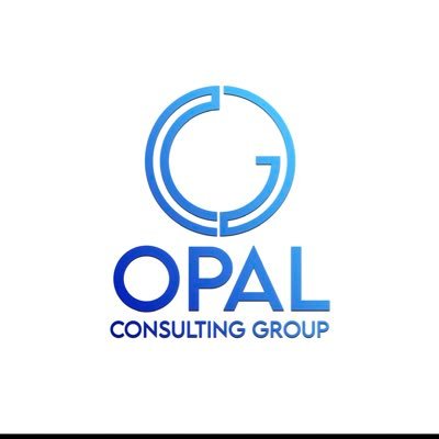 The professional consulting collection supporting government entities (federal, state, local) and, private (for profit) and non-profit clients.