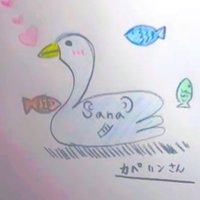 カペリン🌸(@capelin72) 's Twitter Profile Photo