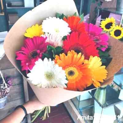 Amita12210711's profile picture. Live more, worry less ✨                                                   GDL capitalmodel