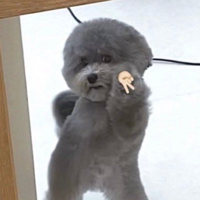 nuyさんのプロフィール画像