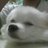 piterpen2000's profile image