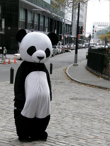 claxlim's profile picture. Just a simple villager in a small town.What do I blog? I would blog mostly on photos,a lil of travel/food.I could be contacted by email,fb,IM etc