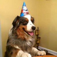 KingOfApoc (@kingofapoc) 's Twitter Profile