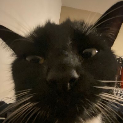 Shangbadung's profile picture. Comp. Baiken player for @Utbesports |
#5 @ Crossover 2024, #4 @ Hessencrash 2025, #5 @ Crossover 2025 | Watch me play on:
https://t.co/CpNncZnEfO