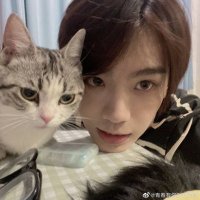 xia🧸 (@zhhrts) 's Twitter Profile