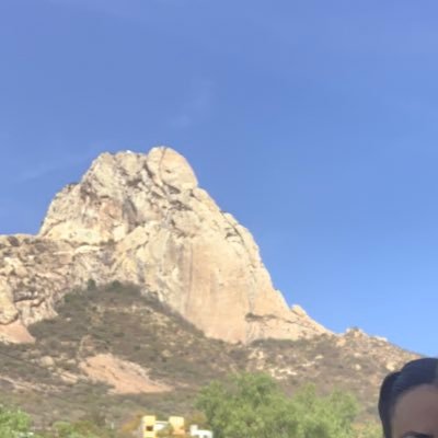 omzcgl's profile picture. 