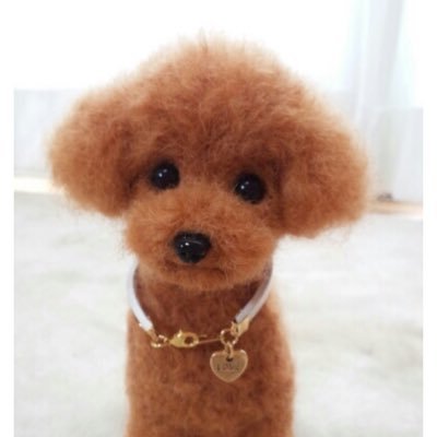 🌿🌱🌷あっこ・たくたく🌷🌱🌿♥️ 🐕‍🦺🐩ぼちぼち浮上️ 💨さんのプロフィール画像