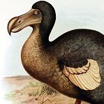 Ancient Earthling (@dust_foot) 's Twitter Profile Photo