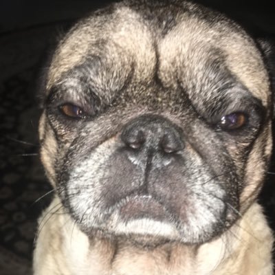 C9BALEIA's profile picture. 