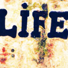 atatao77's profile picture. 