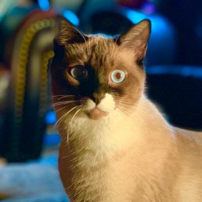__winkel__'s profile picture. Bio
