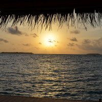 Alina - @elgatosupernowa.bsky.social (@supernowaelgato) 's Twitter Profile Photo