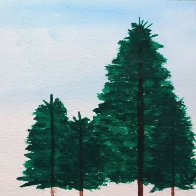 もみの木さんのプロフィール画像
