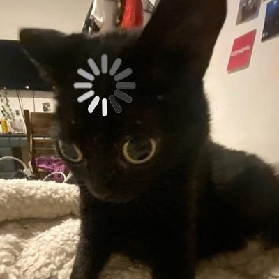 neighbourghost's profile picture. recovering loser ❤️‍🩹 just talking recreationally babes