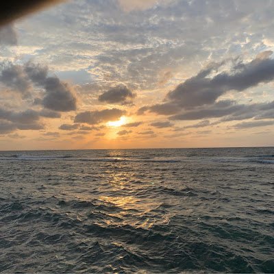 CccGtx's profile picture. 