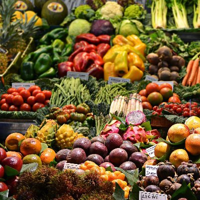 We are a community of proponents for adoption of safe and healthy GMOs