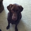 Justin Ream - @JustinReam - Twitter