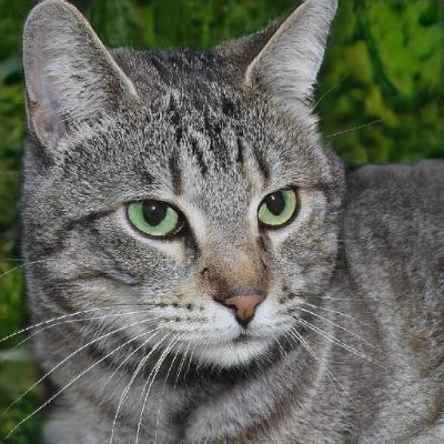 PaulaLo21909028's profile picture. 