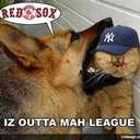 Wanda Collazo - @wandacollazo76 - Twitter