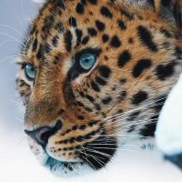 NKF.M (@monikf50) 's Twitter Profile