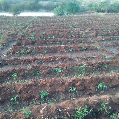 KelvinM17583833's profile picture. 