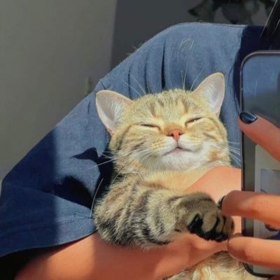 Cute but tough, I can be very moody, and shy. Virgo, I like oranges
