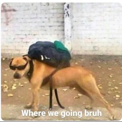 western_enjoyer's profile picture. 