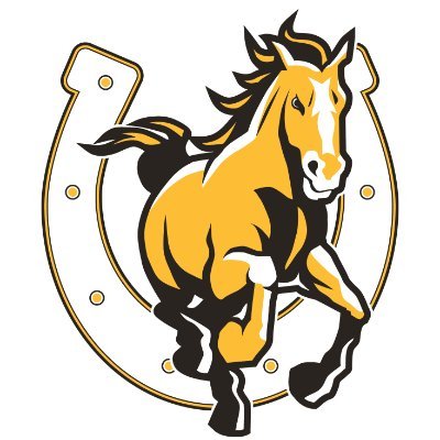 Official Twitter Account of Cottonwood Colts Football 🐎| IG: cottonwoodfootball_colts #4TheTribe