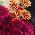 نگار 💐 (@negaramnegaram1) Twitter profile photo نگار 💐 (@negaramnegaram1) Twitter profile photo