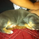 Tanner Carroll - @TannerLC - Twitter