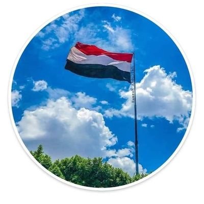 النصر الحميدي Profile