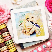 Jacoᗢᘏᓗ·˚ (@jaco7370_sz) Twitter profile photo