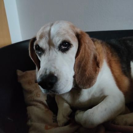 malejmina's profile picture. 