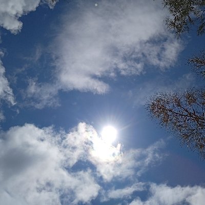 O_Criphan's profile picture. 