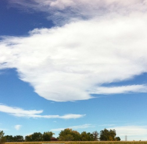 yutongj's profile picture. 