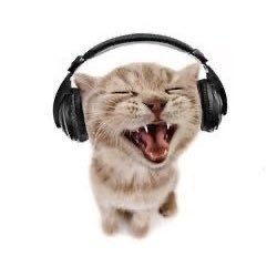 Eva_is_boreddd's profile picture. 