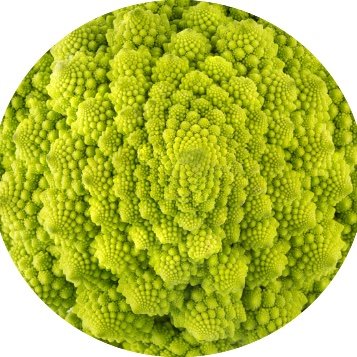 greenmedinfo's profile picture. The world’s most widely-referenced, evidence-based natural health resource.