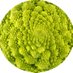 GreenMedInfo2.0 (@greenmedinfo) Twitter profile photo GreenMedInfo2.0 (@greenmedinfo) Twitter profile photo
