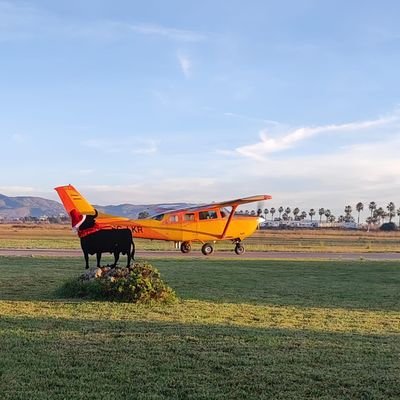 Piloto. Desde mi avión tiro cosas. Aficionado a la astronomía.