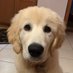 Marmaduke (@rolltidemarm) Twitter profile photo Marmaduke (@rolltidemarm) Twitter profile photo