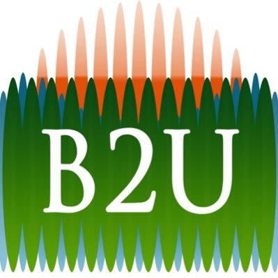 B2U develops battery energy storage systems (ESS) and sells stored electricity into power markets when it's needed most.