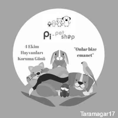 Taramagar17's profile picture. FOREVER YOUNG 🌉💍
Cool😜, flex🎮