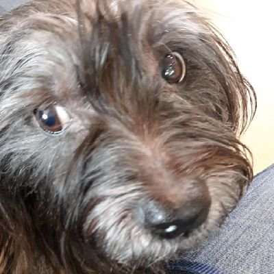 mrblueskyy's profile picture. 