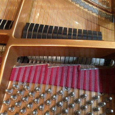 RegerBusonipf21's profile picture. 